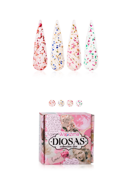 Colecciones de Temporada 4 piezas ($100 & $120)