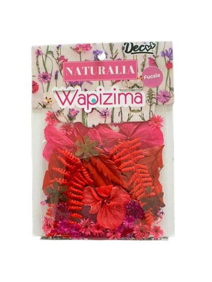 Naturaleza Deshidratada/Seca Wapizima (cartón)